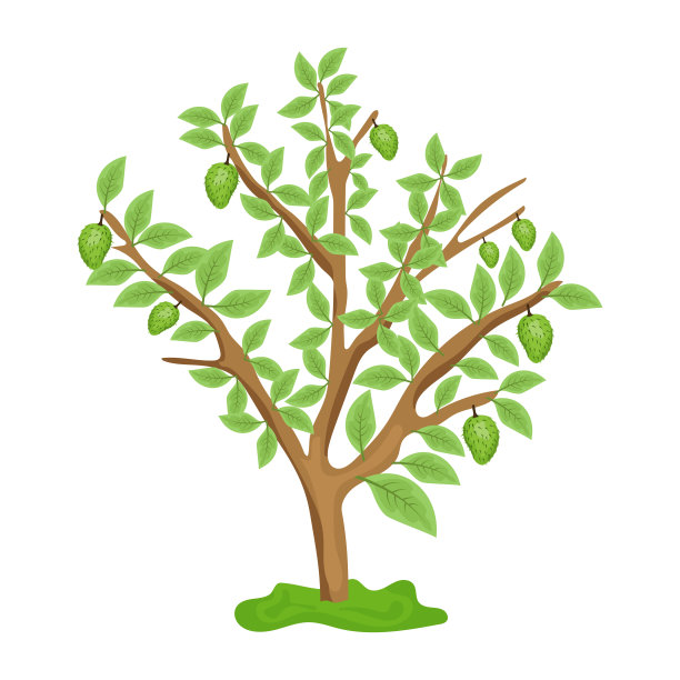 一个树平面矢量下载图片下载