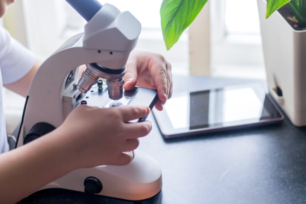 儿童的手在显微镜下用实验室材料安装玻璃的特写图片下载