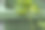 后花园的堆肥箱准备修剪葡萄藤图片下载