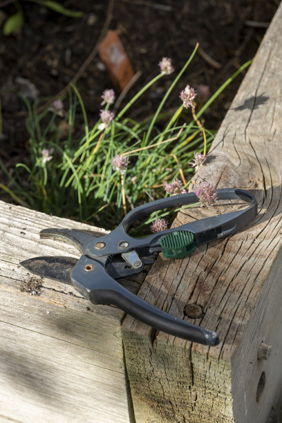 修剪师在一个凸起的床上图片下载