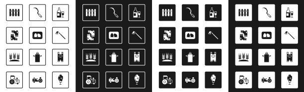 酒瓶上放玻璃鸡蛋图片下载