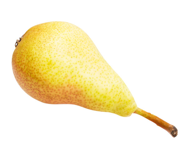 白色背景上孤立的梨图片下载