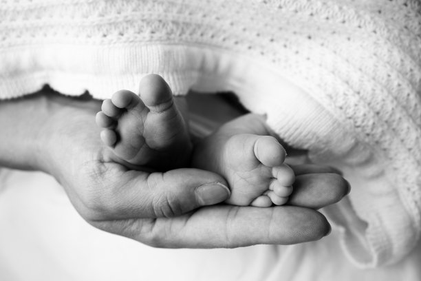 父母的手心。爸爸和妈妈抱着新生儿的腿。新生儿的脚在父母的手中。脚的照片，脚跟和脚趾。黑白摄影棚微距拍摄。图片下载