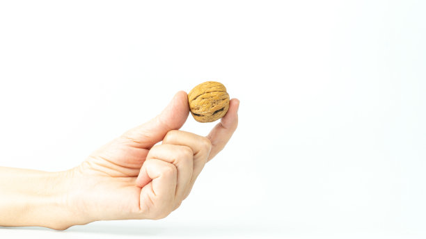 手拿着白色背景上孤立的核桃。核桃概念背景图片下载