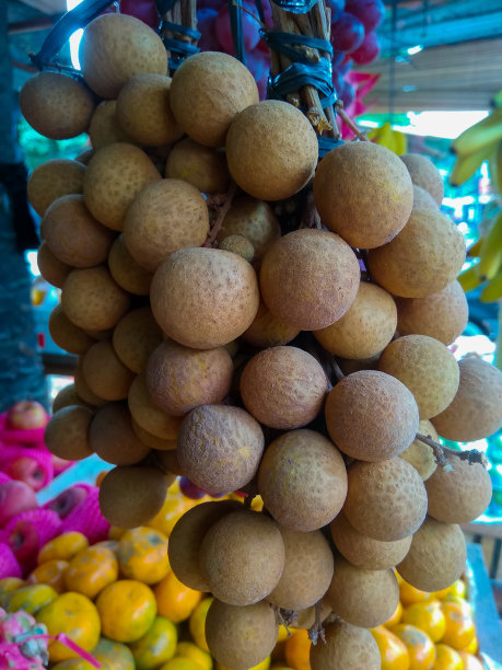 西番莲果。图片下载