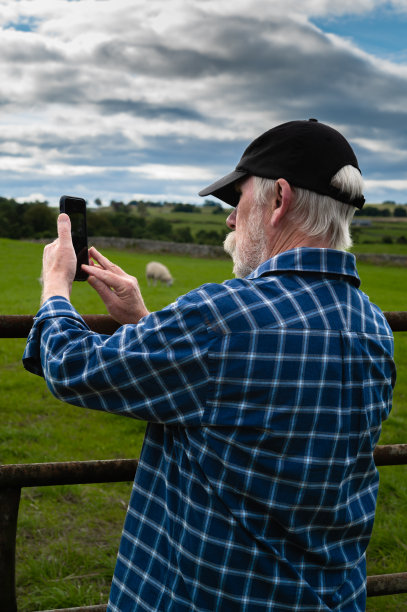 一个成熟的男人在田野里拍摄一群羊图片下载