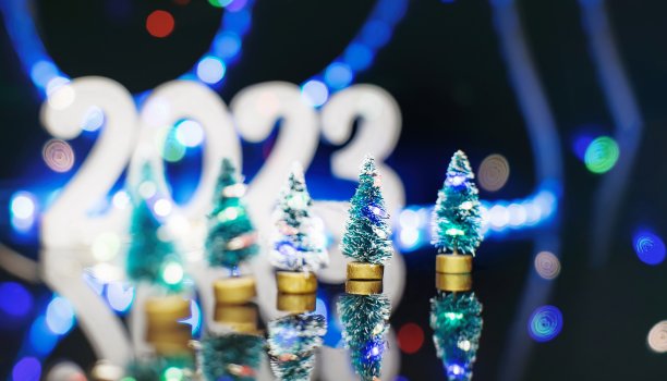 圣诞快乐，新年快乐，圣诞作文。庆祝的概念。优雅的圣诞树在玻璃罐装饰。图片下载