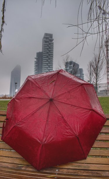 雨中的雨伞图片下载