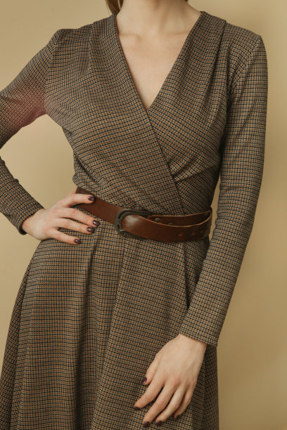 系列工作室照片的年轻女模特在棕色粗花呢连衣裙，秋冬时装收藏。图片下载