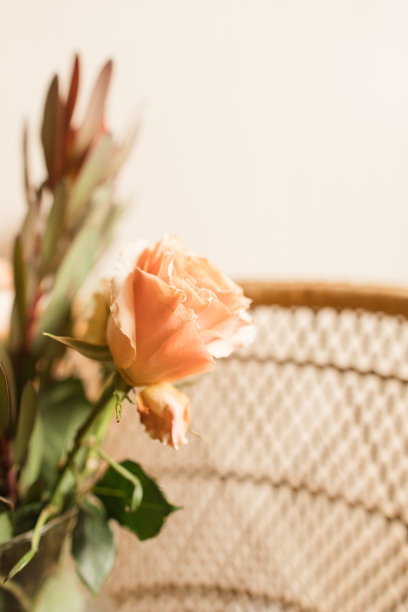 软桃色乡村玫瑰与锈色秋叶插在波西米亚藤椅上的花瓶里图片下载