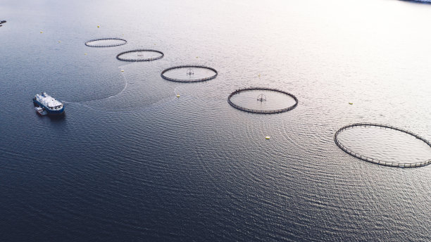 挪威海的鲑鱼养殖。食品工业，传统工艺生产，环保。在被峡湾包围的北极水域中种植和捕捞鱼的圆形网的鸟瞰图图片下载