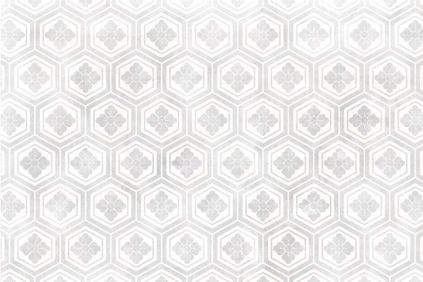 白色背景上银龟甲花的日本图案背景。日式纸的质感。优雅经典的形象。六角形瓷砖。传统的日本植物图案图片下载