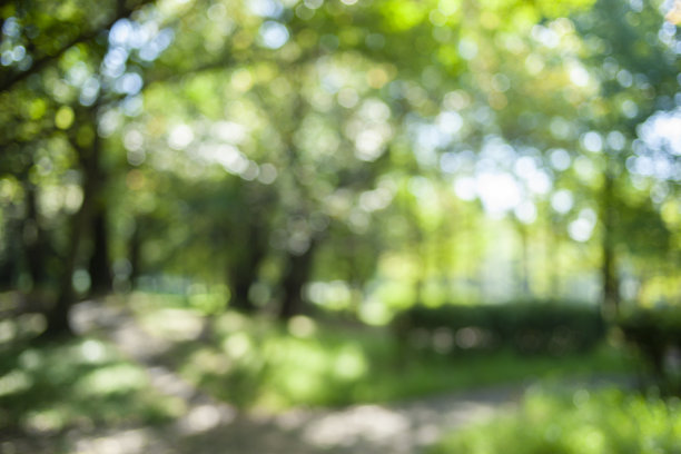 绿色自然模糊散景背景图片下载