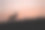 马鹿的剪影走在草地上的彩色夕阳图片下载
