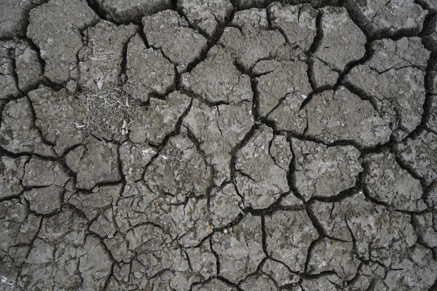 干燥龟裂的土地图片下载