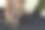 在电脑前工作的女人深情地看着她的猫图片下载