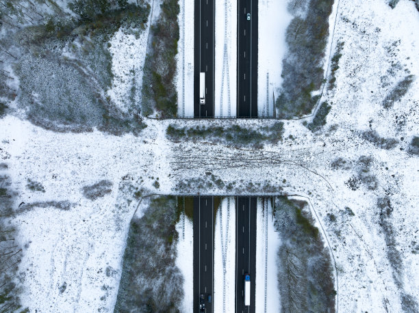 野生动物立交桥在高速公路上穿过雪林景观从上面看图片下载