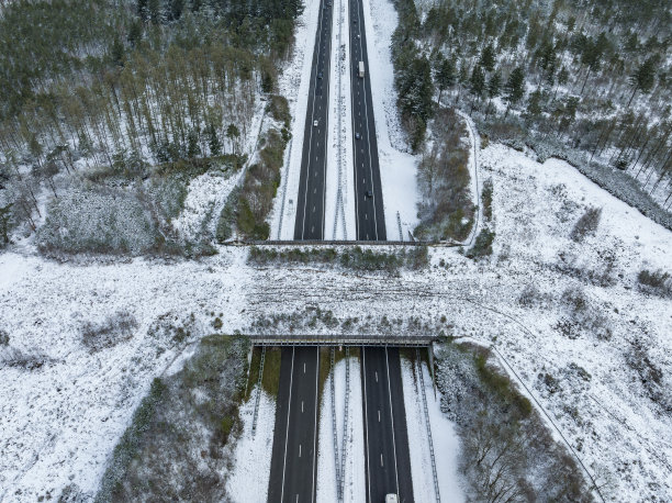 野生动物立交桥在高速公路上穿过雪林景观从上面看图片下载