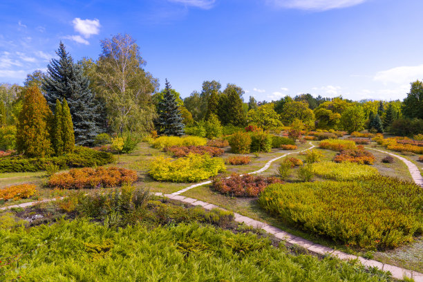 初秋。在植物园停车图片下载