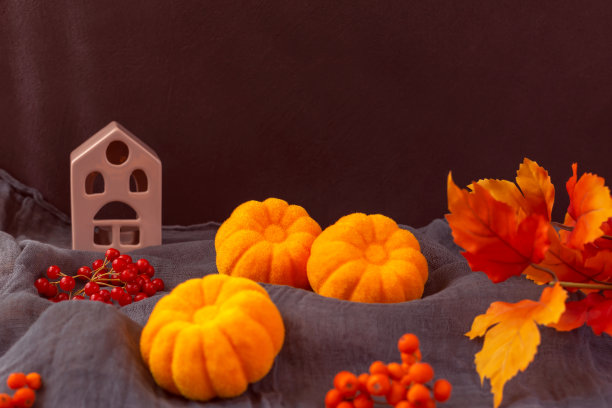 万圣节。南瓜，房子，浆果和树叶在黑暗的背景图片下载
