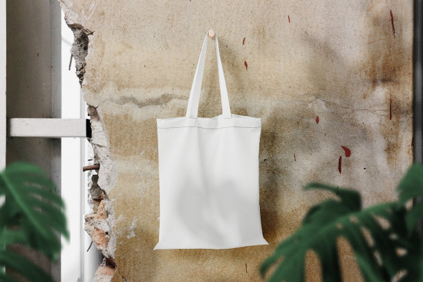 清洁最小的袋子帆布挂在破墙与树叶模型图片下载