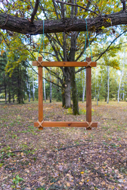初秋。一个木框挂在树枝上图片下载