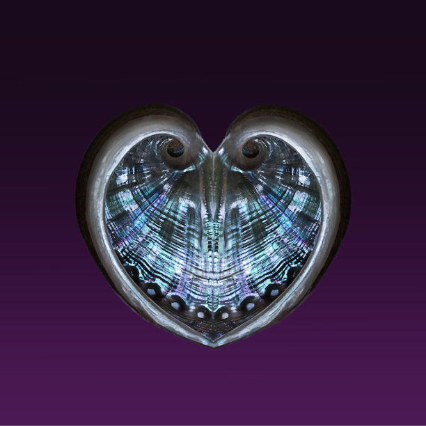 珍珠母心由贝壳在镜子中的反射而成图片下载