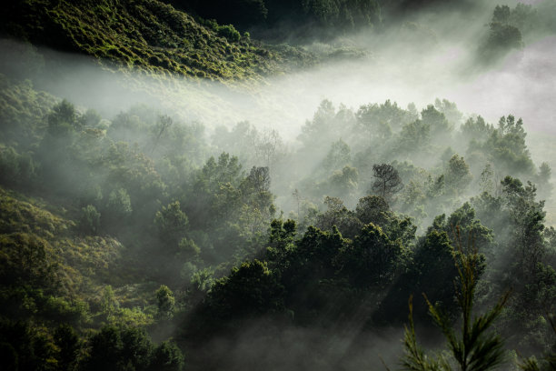 的光芒图片下载
