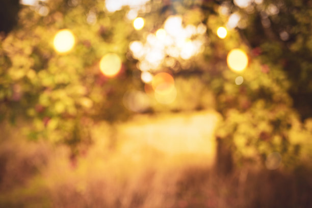 抽象的秋天背景图片下载