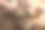 男性手的特写照片，刨工在工作，木工车间图片下载