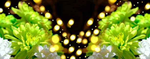 梦幻的渐变背景与彩色牡丹合并在一个明亮的彩色花组成。和平或宁静的背景。模板的横幅图片下载