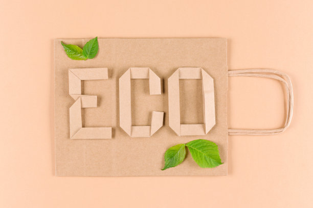 浅棕色背景上印有ECO字样的纸质购物袋。绿叶作为可持续包装的象征。街头小吃带走纸袋。平躺风格图片下载