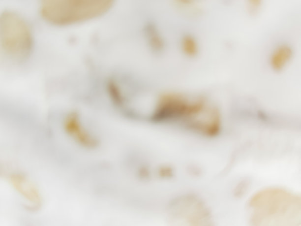 模糊的图像Tempeh或Tempeh，可以用作背景或文本的复制空间图片下载