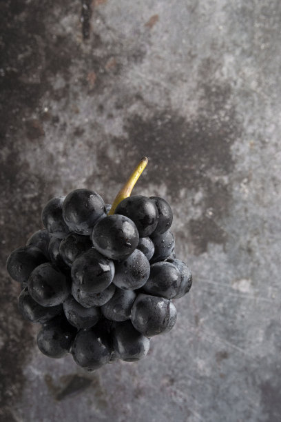 黑葡萄图片下载