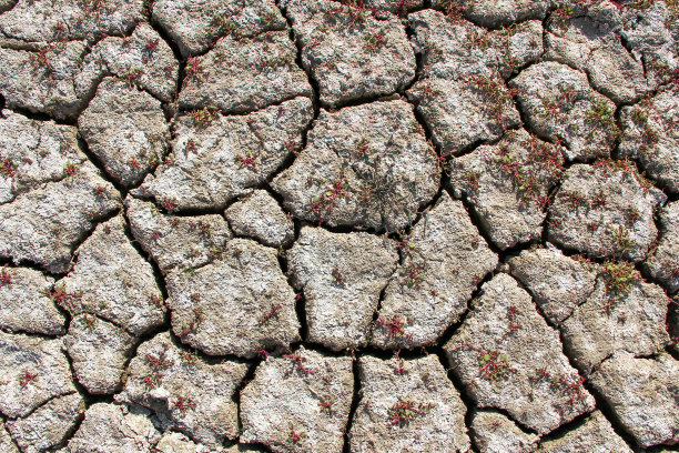 干燥开裂的湖底背景图片下载