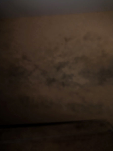 棕色（的）图片下载