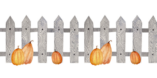 水彩无缝边框，灰色木栅栏装饰南瓜在白色背景。素材图片