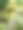 热带植物的特写镜头图片下载