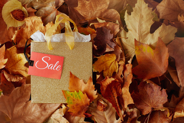 秋天背景与购物袋，销售标签和树叶图片下载