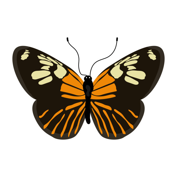 漂亮的扁平风格蝴蝶插画图片下载