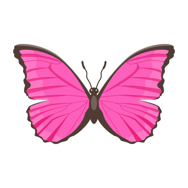 漂亮的扁平风格蝴蝶插画图片下载