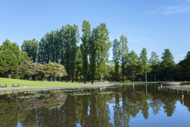 公园的池塘里图片下载