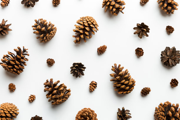 彩色桌子上的松果。自然的假日背景与松树组合在一起。平的。冬天的概念图片下载