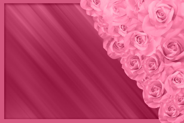 在右边粉色玫瑰堆叠在粉色框架和运动速度模糊背景，自然，对象，横幅，复制空间图片下载