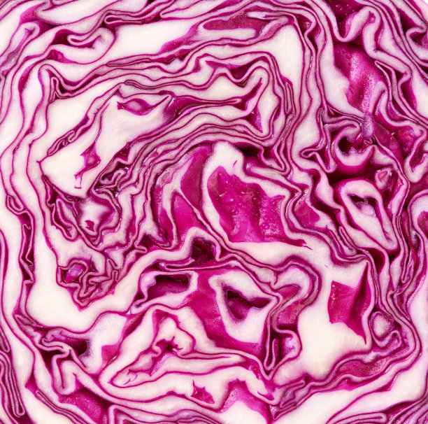 宏红白菜细节特写。红色卷心菜图案特写。图片下载