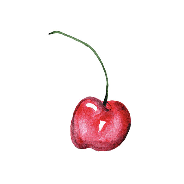 水彩樱花莓枝为设计孤立在白色背景，新鲜樱桃莓素描水彩图片下载