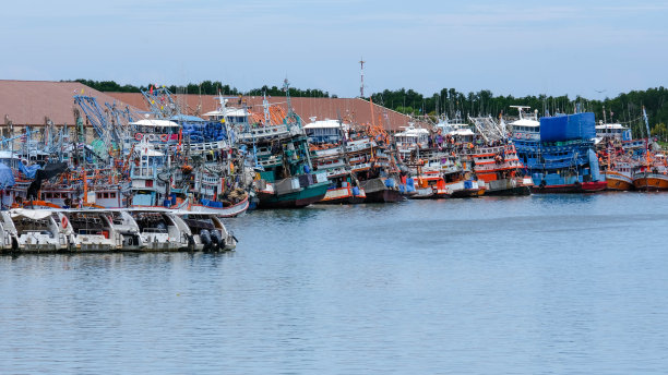 泰国普吉岛林欣码头的渔船和捕虾船。渔船停泊在港口。图片下载