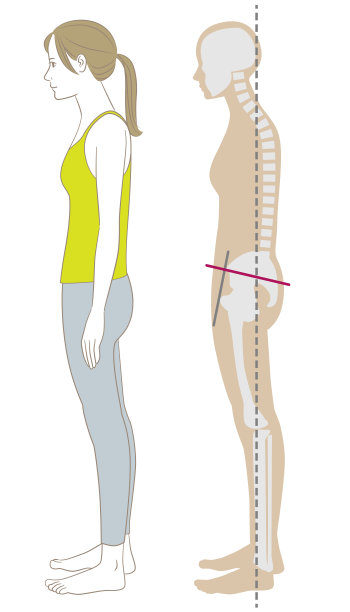 一个姿势不好的女人笔直地站着，她的骨架图片下载