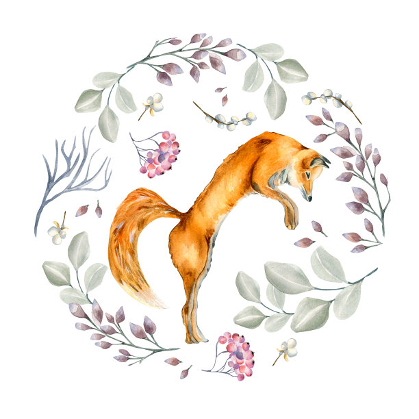 圣诞圈框架与狐狸水彩插图孤立的白色。图片下载