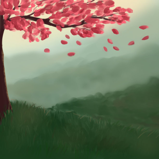 清晨山上的樱桃树图片下载